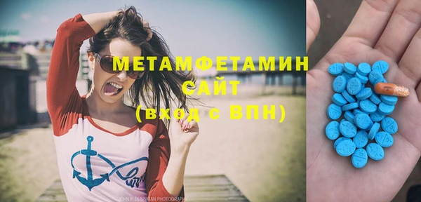 прущие грибы Аркадак