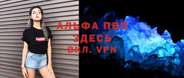 молекула духа Арсеньев