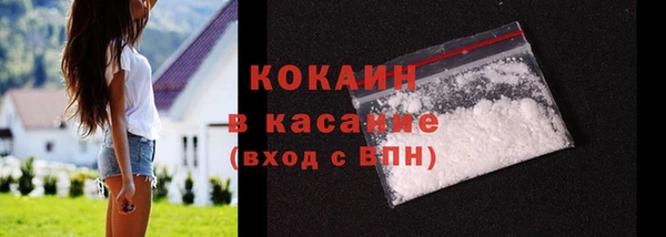 прущие грибы Аркадак