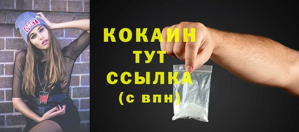 молекула духа Арсеньев