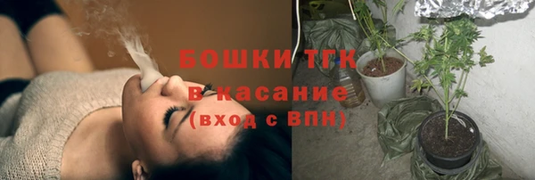 молекула духа Арсеньев
