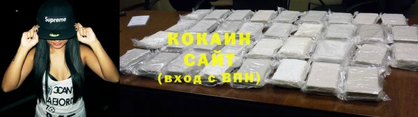 прущие грибы Аркадак