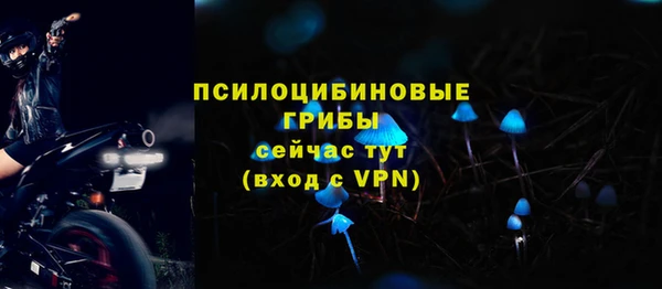 прущие грибы Аркадак