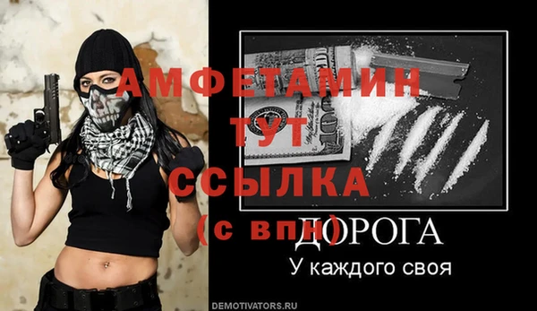 молекула духа Арсеньев