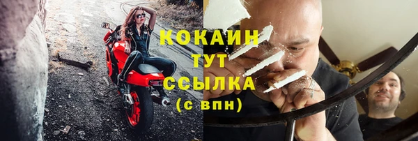 прущие грибы Аркадак