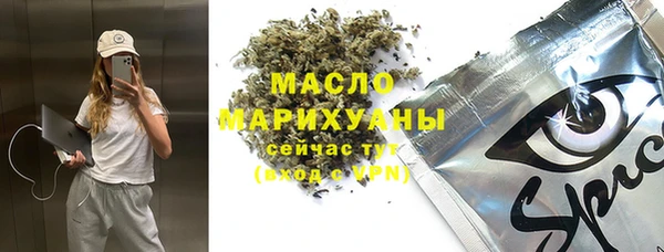 молекула духа Арсеньев